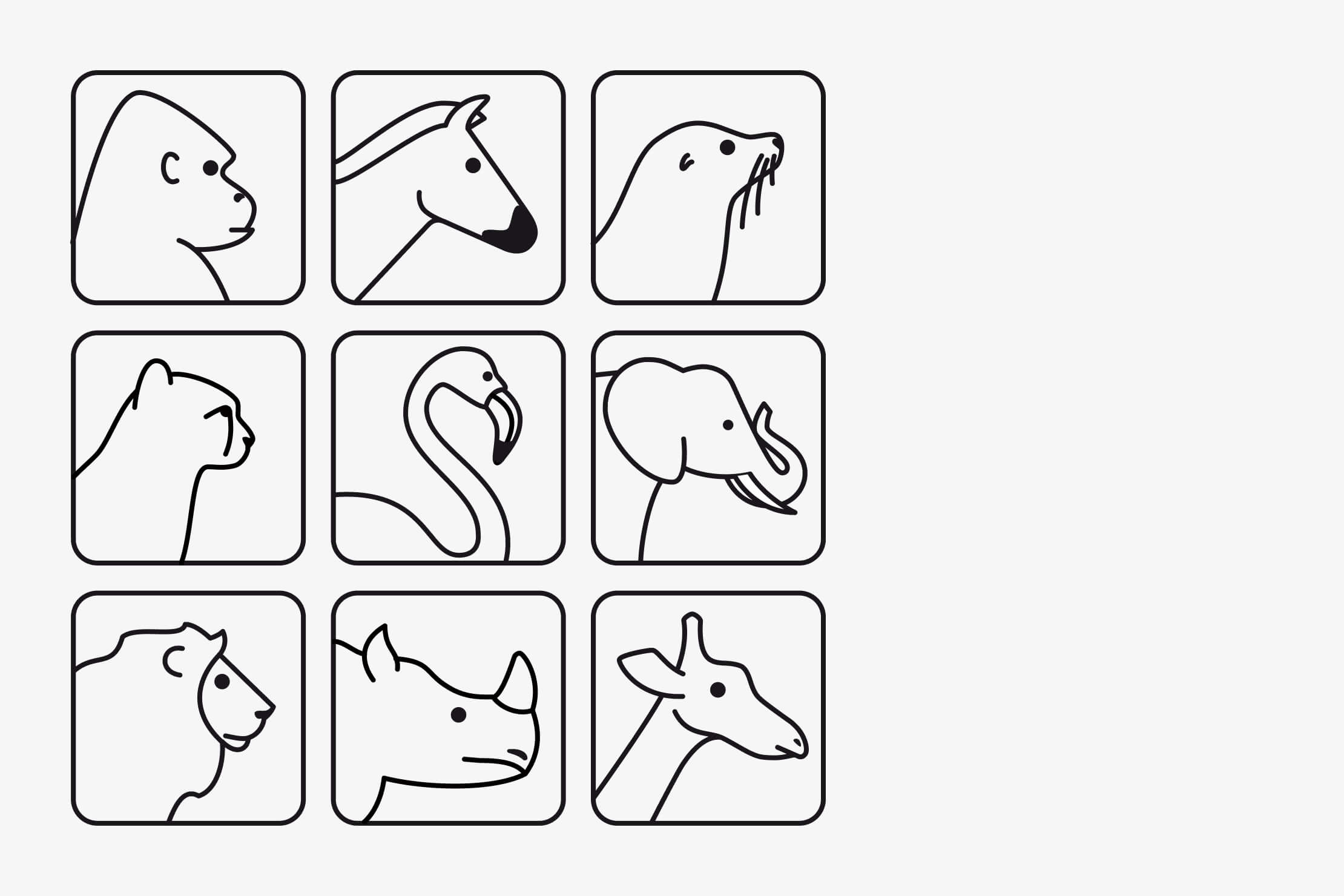 pictograms-ma-zoo-profiles