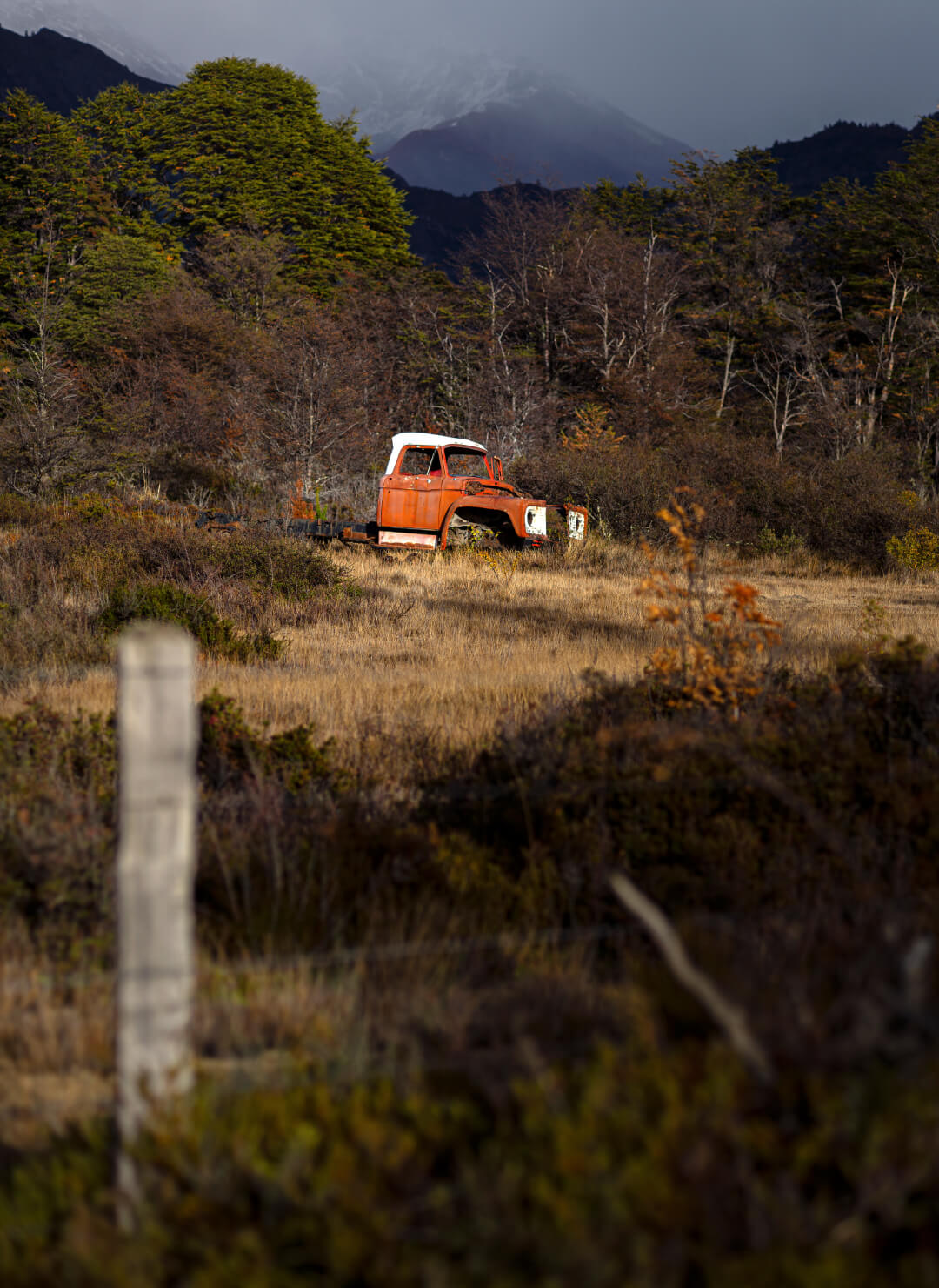 project_patagonia_estacionamiento_libre