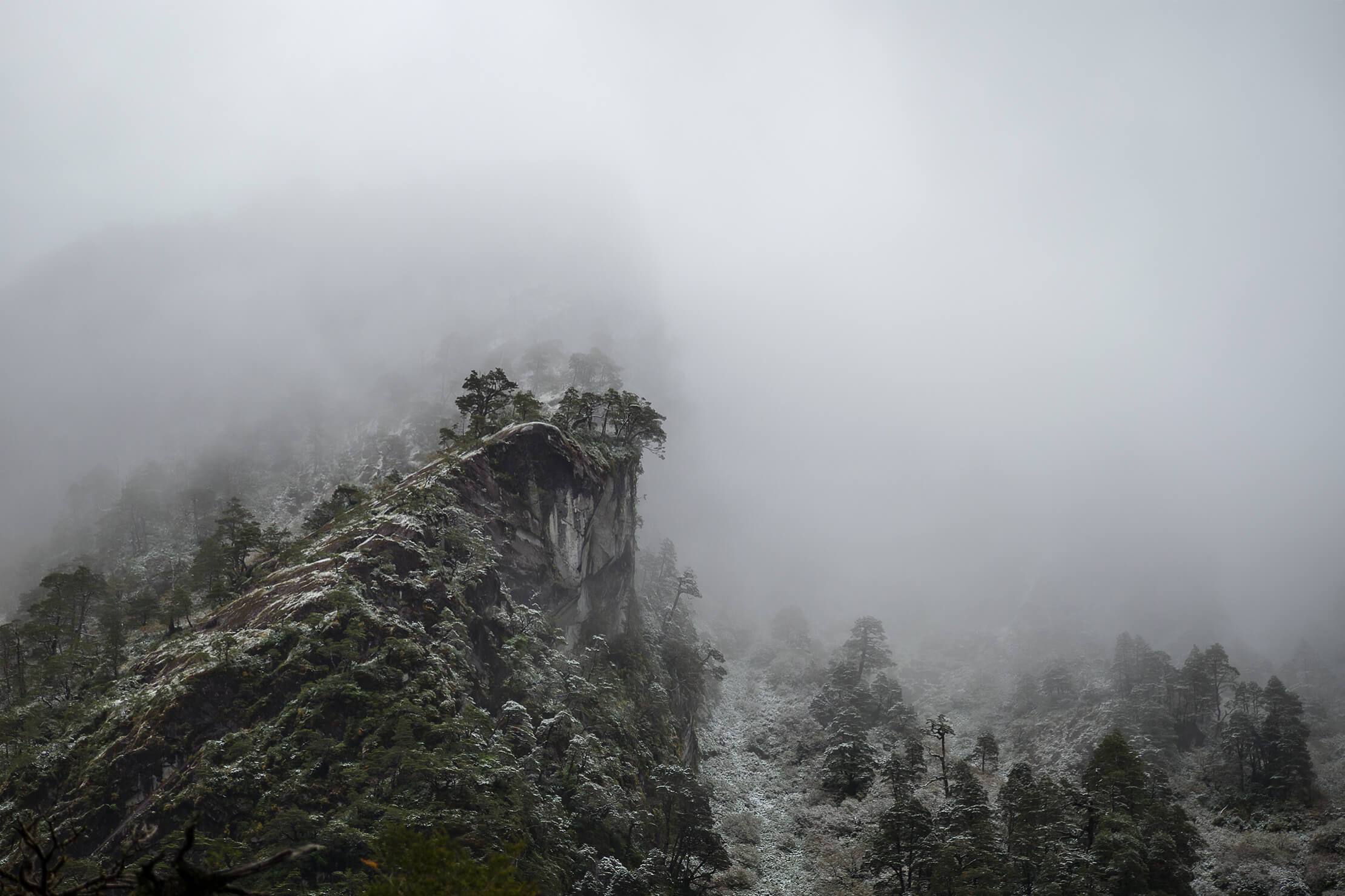 project_patagonia_niebla_pasajera