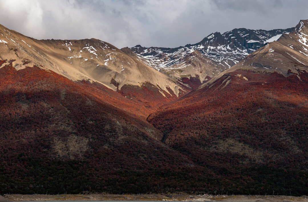 project_patagonia_teaser