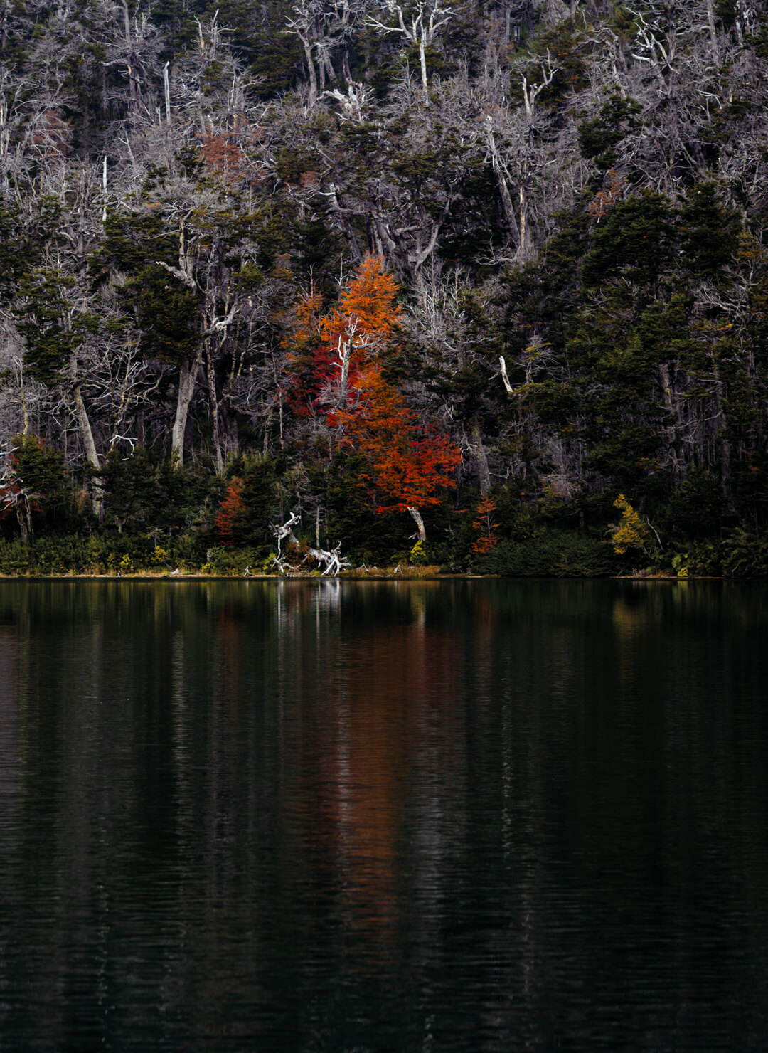 project_patagonia_tierra_de_nadie