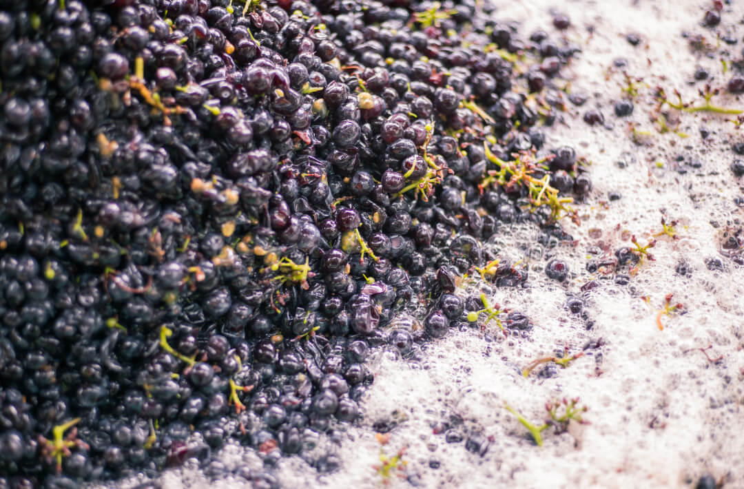 wk_weinlese_3